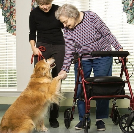 Anziana con cane