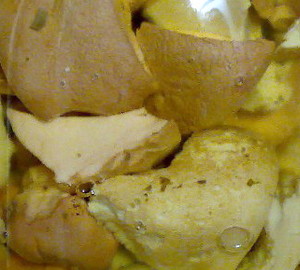 funghi sottolio